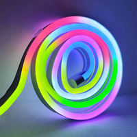 Tiras de Luz de Neón Personalizables con Instalación Flexible, Venta al por Mayor para Decoración del Hogar y Comercial