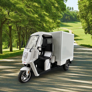 Nuevo Triciclo <span class=keywords><strong>de</strong></span> <span class=keywords><strong>Carga</strong></span> Eléctrico Goody Van <span class=keywords><strong>de</strong></span> 3 Ruedas con Control Manual, 3kw, Batería <span class=keywords><strong>de</strong></span> Plomo-Ácido, Largo Alcance, Motocicleta, Batería <span class=keywords><strong>de</strong></span> Plomo-Ácido/Litio - Product Image 2