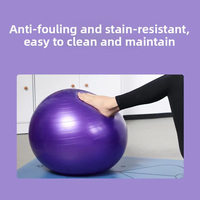 Pelota de Yoga Profesional Premium de PVC Engrosado de 55 cm, Color Morado, Antiexplosión, Accesorios para Yoga
