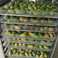 Séchoir à fruits à alimentation thermique au charbon, machine de séchage d'ananas, machine de séchage de mangues
