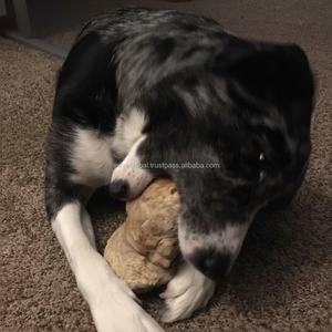 เคี้ยวของเล่นสำหรับสุนัขกัดรากเล็กๆสำหรับลูกสุนัขบรรเทาความเครียดจากธรรมชาติกาแฟไม้เคี้ยวของเล่นจากเวียดนามผู้ผลิต ODM MOQ ต่ำ - Product Image 1