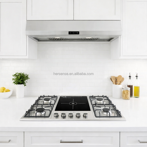 Cocina <span class=keywords><strong>de</strong></span> Acero Inoxidable con 4 Quemadores <span class=keywords><strong>de</strong></span> Gas y 1 Placa Eléctrica, 220V, Multifuncional para Cocina, Hogar y Restaurante - Product Image 2