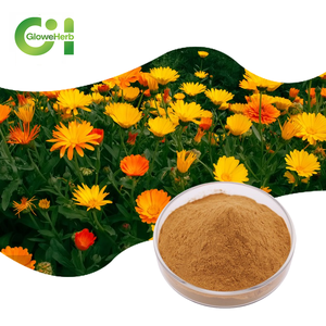 Hoogwaardige Calendula <span class=keywords><strong>Extract</strong></span> Poeder 10:1 Cosmetische Kwaliteit In Trommelverpakking 99% Flavonoïdenverbindingen - Product Image 1