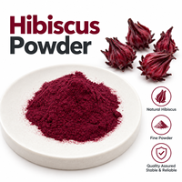 Extrait de fleur d'hibiscus pur de qualité alimentaire 10:1, emballé sous vide, certifié ISO9001, conditionnement en fût/bouteille