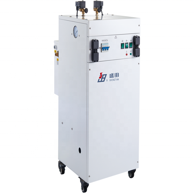 Italy Steam Generator With 2 Irons