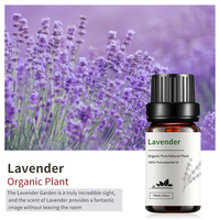 Huile Essentielle de Lavande Fraîche 100% Naturelle 10ml Distillée à la Vapeur en Vrac pour Diffuseur, Massage, Soins de la Peau, Écologique et Polyvalente