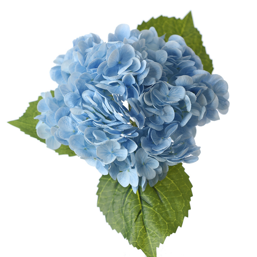 Bleu clair