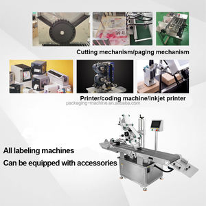 Etiquetadora Automática de Bolsas de Cartón y Plástico con Motor Central para Bolsas de PE, Modelo DW115 - Product Image 6