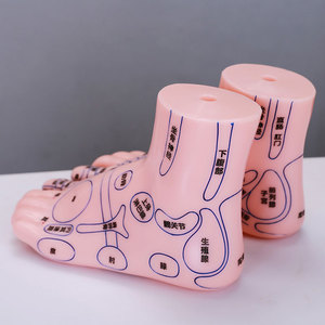 Modello Didattico di Agopuntura TCM Runshi in PVC, 21cm, Massaggio Doppio Piede per il Corpo, Prodotto di Medicina Cinese - Product Image 5