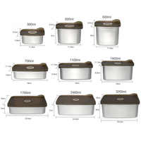 Boîte à lunch en acier inoxydable 304 avec doublure en plastique, design moderne, certifiée CE, récipient de conservation alimentaire, boîte carrée
