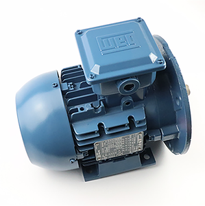 Moteur asynchrone triphasé WEG W20 5KW AC, IP55, boîtier en fonte, haute efficacité, pleine vitesse, normes 50/60Hz, W20 Weg W20 5KW AC - Product Image 1