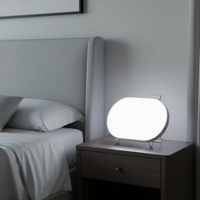 Lampe de photothérapie LED à luminosité réglable et commande tactile pour l'éclairage médical, la dépression saisonnière et les soins à domicile