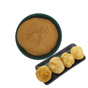 Löwenmast-Kapseln organisches Löwenmast-Pilz-Extrakt - Product Image 4