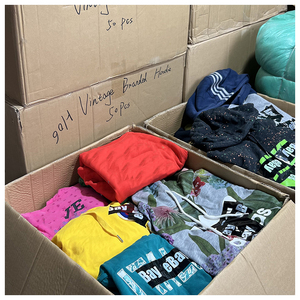 Sudadera con Capucha de Moda Premium, Marcas Variadas, Exportadas a Todo el Mundo - Product Image 1