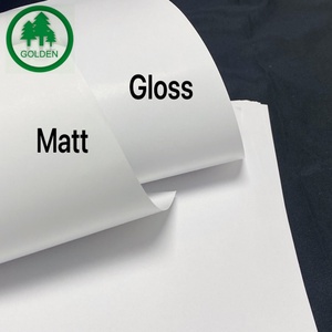 Glossy Coated Text <b>Paper</b> 78lbs for Offset Printing Art <b>Papers</b> High Whiteness and Surface - Product Image 6