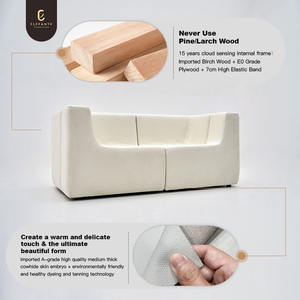 Nordic आधुनिक डिजाइन सोफे लक्जरी असलस्टर्ड 2 सीटर सोफे मॉड्यूलर लक्ज़ो टैन्जुओ फ्यून सेशनल सोफे सेट - Product Image 3