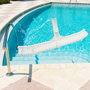 Cepillo <span class=keywords><strong>de</strong></span> mano para <span class=keywords><strong>piscina</strong></span> El mejor cepillo para <span class=keywords><strong>piscina</strong></span> para algas negras Limpiador <span class=keywords><strong>de</strong></span> cepillo <span class=keywords><strong>de</strong></span> filtro para <span class=keywords><strong>piscina</strong></span> sobre el suelo - Product Image 1