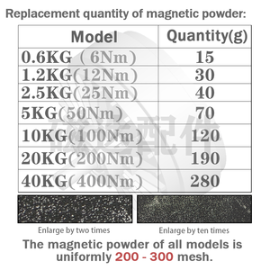Polvere magnetica SHENGDA 200-300 a maglia magnetica polvere solo per freno magnetico in polvere e frizione - Product Image 6