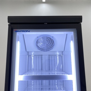 Congelatore Verticale con Porta in Vetro per Esposizione Commerciale, Refrigerante R290, per Esporre Antipasti Surgelati Gourmet nei Negozi di Alimentari - Product Image 6