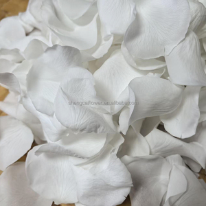 Decorazioni Floreali per Matrimoni, Coriandoli di Petali di Rosa, Petali di Rosa Essiccati Biodegradabili per Cerimonie Nuziali, Decorazioni per Feste all'Aperto - Product Image 4