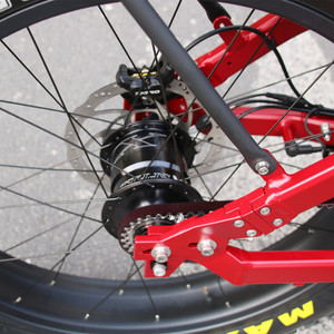 Step Thru Ebike 1000W 48V 30Ah Batterie Vélo Électrique 14 Vitesses <span class=keywords><strong>ROHLOFF</strong></span> IGH Hub 55 KM/H Belt Drive E Bike pour Adultes - Product Image 6
