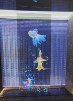Écran LED holographique transparent, film LED flexible auto-adhésif, affichage numérique pour vitrine intérieure, publicité sur écran LED