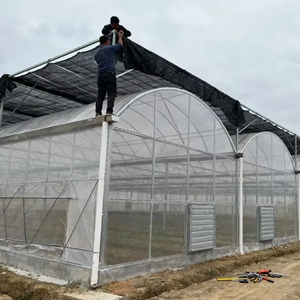 <span class=keywords><strong>Invernadero</strong></span> Multiusos Personalizado de Gran Tamaño, <span class=keywords><strong>Invernadero</strong></span> Agrícola de Polietileno, Precio de Fábrica, <span class=keywords><strong>Invernadero</strong></span> Multiusos de Primera Calidad - Product Image 4