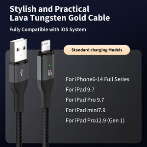 Câble de charge 12W IOS au design carré avec arrêt automatique pour iPhone 6-14 iPad - Product Image 1