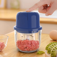 350ml mini elektrische knoflookhakker van PP + glas, met 6 messen, draagbare groente-, ui- en babyvoedselhakker
