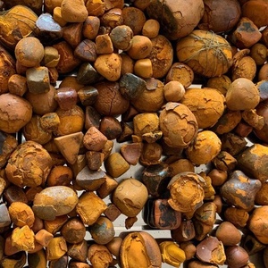 Niu Huang中国ハーブベゾア牛ガルスストーンスライス乾燥粉末スパイス生加工タイプさまざまな輸出 - Product Image 2