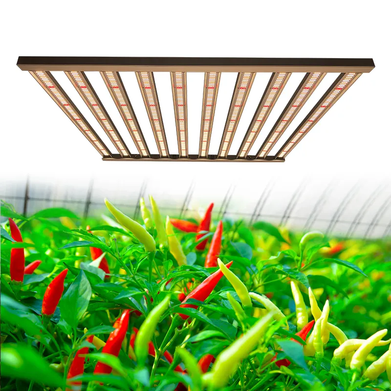 Redfarm ad Alta efficienza lm301b 600w 1000w 10 bar di coltura idroponica serra semi led crescente lampada della pianta coltiva la luce