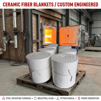 Couverture en fibre de silicate d'aluminium 1260 ° C 128 kg/m³ pour four de recuit - CCS≥0,04 MPa et longue durée de vie