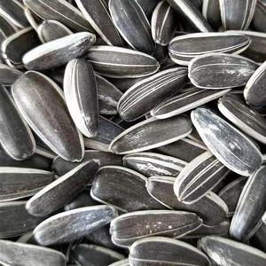 بذور البطيخ الأحمر المجفف عالية الجودة-نواة عباد الشمس الصينية مغذية ولذيذة - Product Image 4