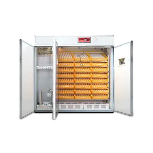 Machine d'éclosion d'œufs, incubateur d'œufs, fabrication en chine