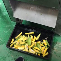 Rauwe mango groenteverwerkings-snijmachine SUS304 roestvrijstalen motor voor bakkerij fruitverwerking meelfabriek 220V/380V