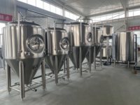 CARRY BREWTECH Cuve de fermentation 400L de haute qualité en acier inoxydable Fabrication professionnelle personnalisée
