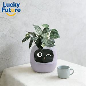 Pot de fleurs robotisé compact <span class=keywords><strong>Robert</strong></span> Mini AI avec un aspect mignon de petit animal, parfait pour le bureau <span class=keywords><strong>et</strong></span> les petits espaces - Product Image 1