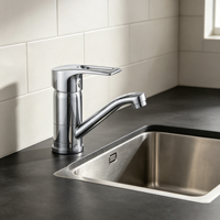 Robinet de cuisine de style classique moderne, installation sur plan, corps en alliage de zinc, noyau en céramique, adapté aux cuisines d'appartement