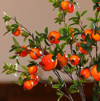 Plastic granaatappel nep fruit nieuwjaars- en dankdag explosies 6-delige bruiloft binnen decoratie milieuvriendelijke groothandel wensdecoraties