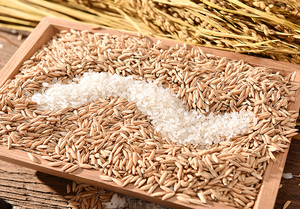 Machine industrielle à rouleaux en caoutchouc pour décortiquer le <span class=keywords><strong>riz</strong></span>, décortiqueuse <span class=keywords><strong>de</strong></span> graines <span class=keywords><strong>de</strong></span> ricin, décortiqueuse <span class=keywords><strong>de</strong></span> graines <span class=keywords><strong>de</strong></span> soja - Product Image 4