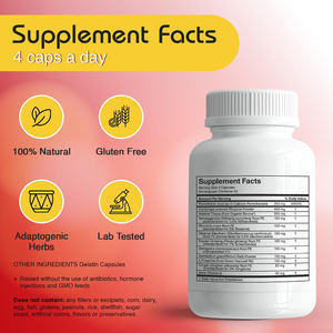 OEM Capsules surrénales complexes à base de plantes Cordyceps Rhodiola Ashwagandha Gingembre Ginseng Suppléments Soutenir la fonction surrénale saine - Product Image 2