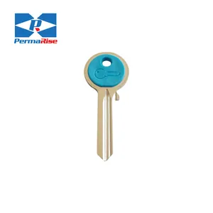 Großhandel ul050 Custom House Schlüssel rohlinge mit Kunststoff kopf leere Schlüssel Lieferant