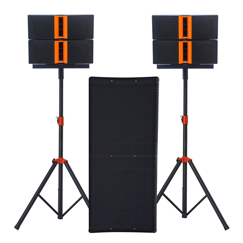 1000W 2X10 Subwoofer PA Speaker System