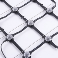 Pantalla LED de Cortina Transparente para Exteriores, Flexible y Suave, con Malla P100, Resistente al Agua IP67, 30 mm de Diámetro, Control DMX, Luces LED RGB
