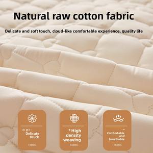 Sınır ötesi dış ticaret sonbahar kış kimyasal elyaf antibakteriyel kapitone tam Wrap toz geçirmez su geçirmez yatak koruyucu - Product Image 3