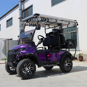 Autobús Turístico Elevado Todoterreno de 4 Asientos con Paneles Solares, Carro de Golf, Buggy, para Caza, Precio Bajo - Product Image 5