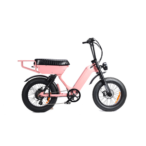 Vélo à pneus larges EU à suspension intégrale 250w/750w EBIKE 20 pouces Vélo de montagne rétro E-Bike pas cher tout-terrain X80 E-BIKE Usine Elektrische Fietsen - Product Image 2