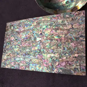 2022 Hot Sales Paua Abalone Shell Veneer Sheet Seashell Paper Inlay for Guitar Decorations