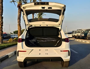 Voiture électrique quatre roues motrices BYD e2 2024 - Product Image 6
