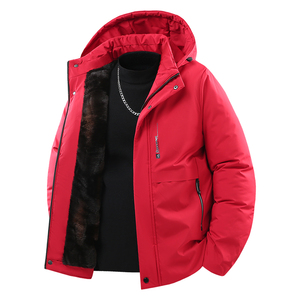 Giubbotto Blouson Invernale da <span class=keywords><strong>Uomo</strong></span> con Isolamento Termico in Grafene Collo Alto Motivo a Lettere Logo Frontale Cappuccio Staccabile Spesso Stile Casual - Product Image 2